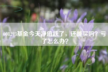 008293基金今天净值跌了，还能买吗？亏了怎么办？