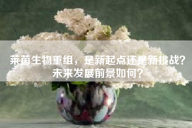 莱茵生物重组，是新起点还是新挑战？未来发展前景如何？