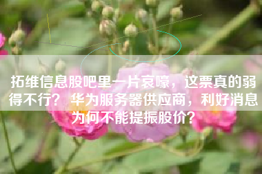 拓维信息股吧里一片哀嚎，这票真的弱得不行？ 华为服务器供应商，利好消息为何不能提振股价？