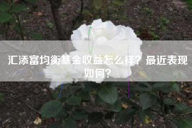 汇添富均衡基金收益怎么样？最近表现如何？