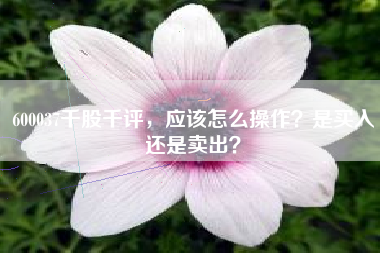 600037千股千评，应该怎么操作？是买入还是卖出？