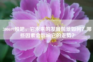 300699股吧，它未来的发展前景如何？哪些因素会影响它的走势？