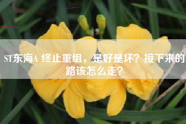 ST东海A 终止重组,是好是坏?接下来的路该怎么走?