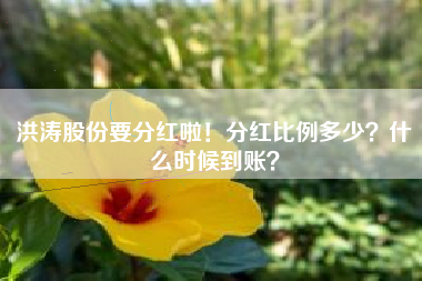 洪涛股份要分红啦！分红比例多少？什么时候到账？