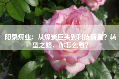 阳泉煤业：从煤炭巨头到科技新星？转型之路，你怎么看？