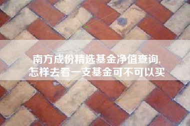 南方成份精选基金净值查询,
怎样去看一支基金可不可以买