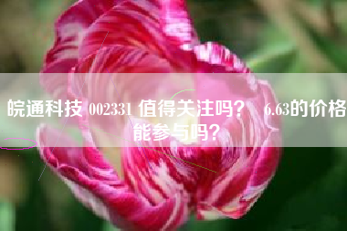 皖通科技 002331 值得关注吗？  6.63的价格能参与吗？