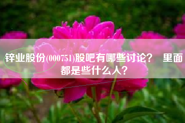 锌业股份(000751)股吧有哪些讨论？  里面都是些什么人？