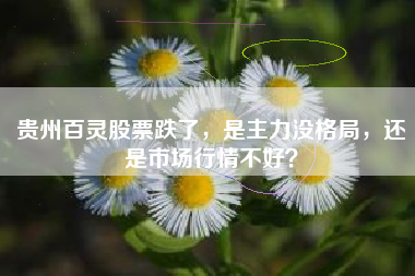 贵州百灵股票跌了，是主力没格局，还是市场行情不好？