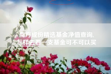 南方成份精选基金净值查询,
怎样去看一支基金可不可以买