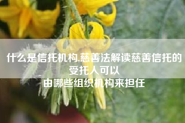 什么是信托机构,慈善法解读慈善信托的受托人可以
由哪些组织机构来担任 什么是信托机构,慈善法解读慈善信托的受托人可以
由哪些组织机构来担任