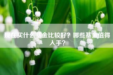 现在买什么基金比较好?哪些基金值得入手?