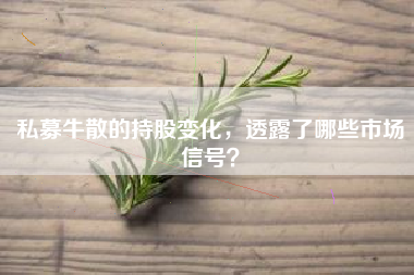 私募牛散的持股变化,透露了哪些市场信号?