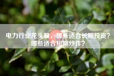 电力行业龙头股,哪些适合长期投资?哪些适合短期炒作?