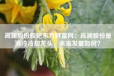 高澜股份股吧东方财富网：高澜股份是液冷冷却龙头，未来发展如何？