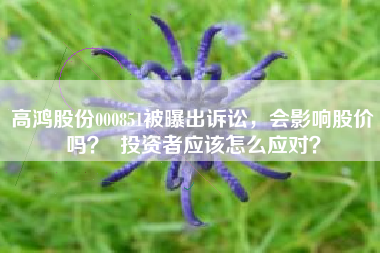 高鸿股份000851被曝出诉讼,会影响股价吗? 投资者应该怎么应对?