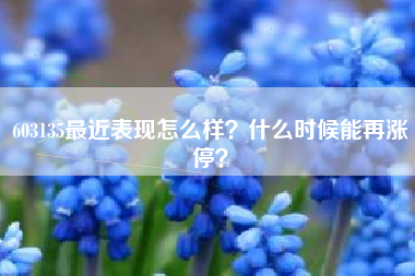 603135最近表现怎么样？什么时候能再涨停？