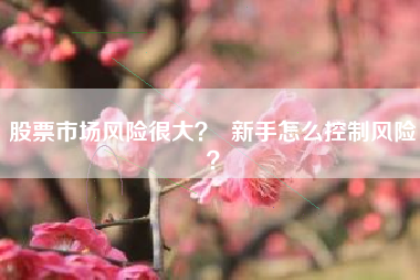 股票市场风险很大？  新手怎么控制风险？