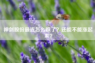 神剑股份最近怎么跌了？还能不能涨起来？
