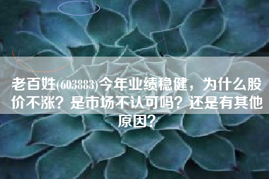 老百姓(603883)今年业绩稳健，为什么股价不涨？是市场不认可吗？还是有其他原因？
