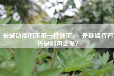 长城动漫的未来一片迷茫，  是继续持有还是割肉止损？