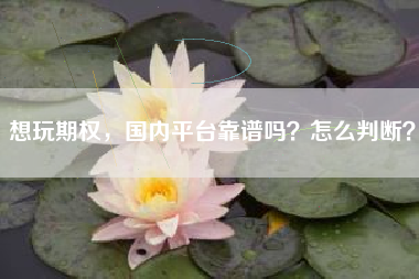 想玩期权，国内平台靠谱吗？怎么判断？