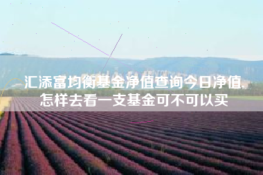 汇添富均衡基金净值查询今日净值,
怎样去看一支基金可不可以买