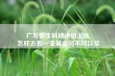 广发恒生科技净值上涨,
怎样去看一支基金可不可以买