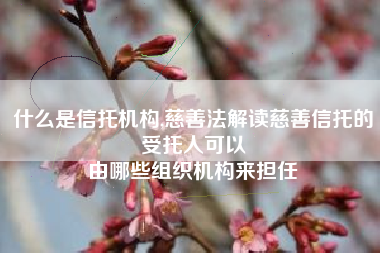 什么是信托机构,慈善法解读慈善信托的受托人可以
由哪些组织机构来担任 什么是信托机构,慈善法解读慈善信托的受托人可以
由哪些组织机构来担任