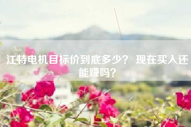 江特电机目标价到底多少？ 现在买入还能赚吗？