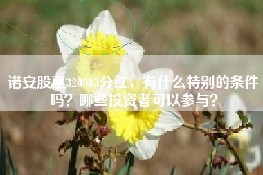 诺安股票320003分红，有什么特别的条件吗？哪些投资者可以参与？