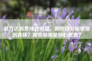 易方达消费持仓明细，哪些行业板块受到青睐？哪些股票是核心配置？