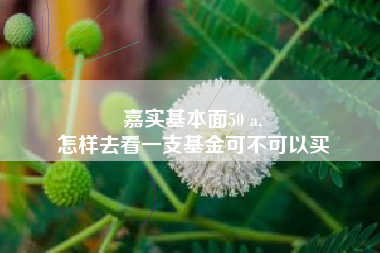 嘉实基本面50 a,
怎样去看一支基金可不可以买