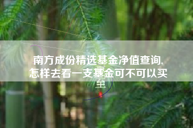 南方成份精选基金净值查询,
怎样去看一支基金可不可以买