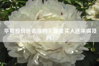 华斯股份还会涨吗?现在买入还来得及吗?