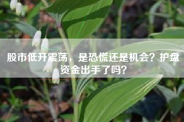 股市低开震荡，是恐慌还是机会？护盘资金出手了吗？