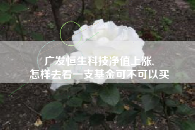 广发恒生科技净值上涨,
怎样去看一支基金可不可以买