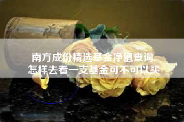 南方成份精选基金净值查询,
怎样去看一支基金可不可以买