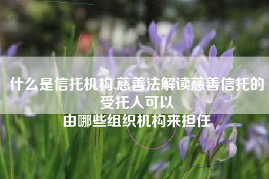 什么是信托机构,慈善法解读慈善信托的受托人可以
由哪些组织机构来担任 什么是信托机构,慈善法解读慈善信托的受托人可以
由哪些组织机构来担任