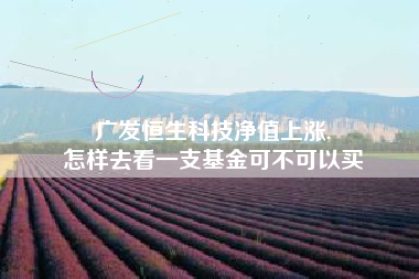 广发恒生科技净值上涨,
怎样去看一支基金可不可以买