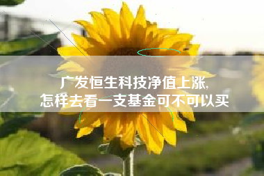 广发恒生科技净值上涨,
怎样去看一支基金可不可以买