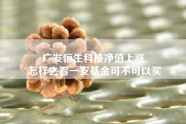 广发恒生科技净值上涨,
怎样去看一支基金可不可以买