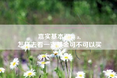 嘉实基本面50 a,
怎样去看一支基金可不可以买
