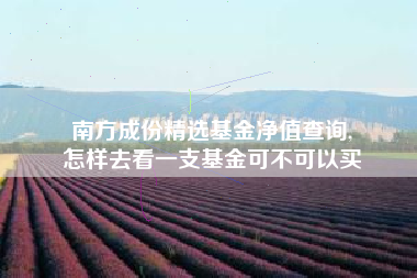 南方成份精选基金净值查询,
怎样去看一支基金可不可以买