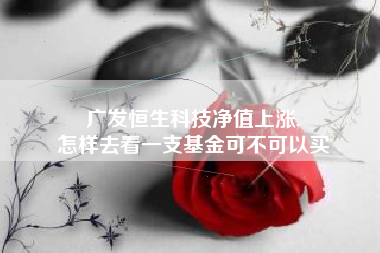 广发恒生科技净值上涨,
怎样去看一支基金可不可以买