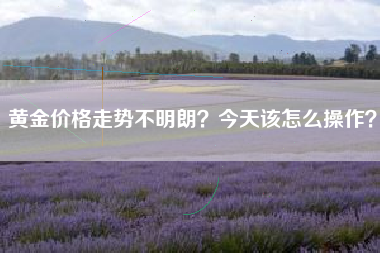 黄金价格走势不明朗？今天该怎么操作？
