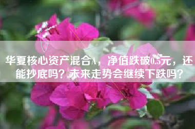 华夏核心资产混合A，净值跌破0.5元，还能抄底吗？未来走势会继续下跌吗？