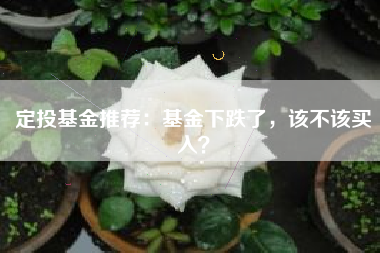 定投基金推荐:基金下跌了,该不该买入?