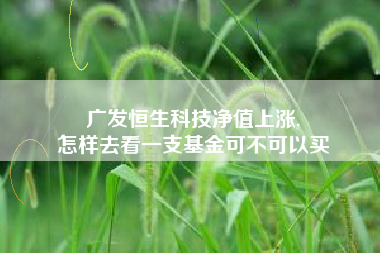 广发恒生科技净值上涨,
怎样去看一支基金可不可以买