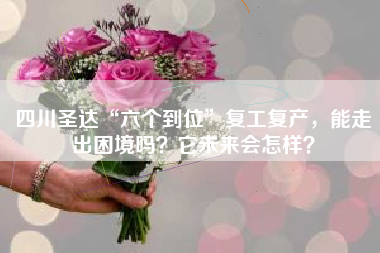 四川圣达“六个到位”复工复产，能走出困境吗？它未来会怎样？